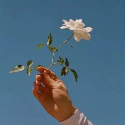 包工头模拟手机版下载